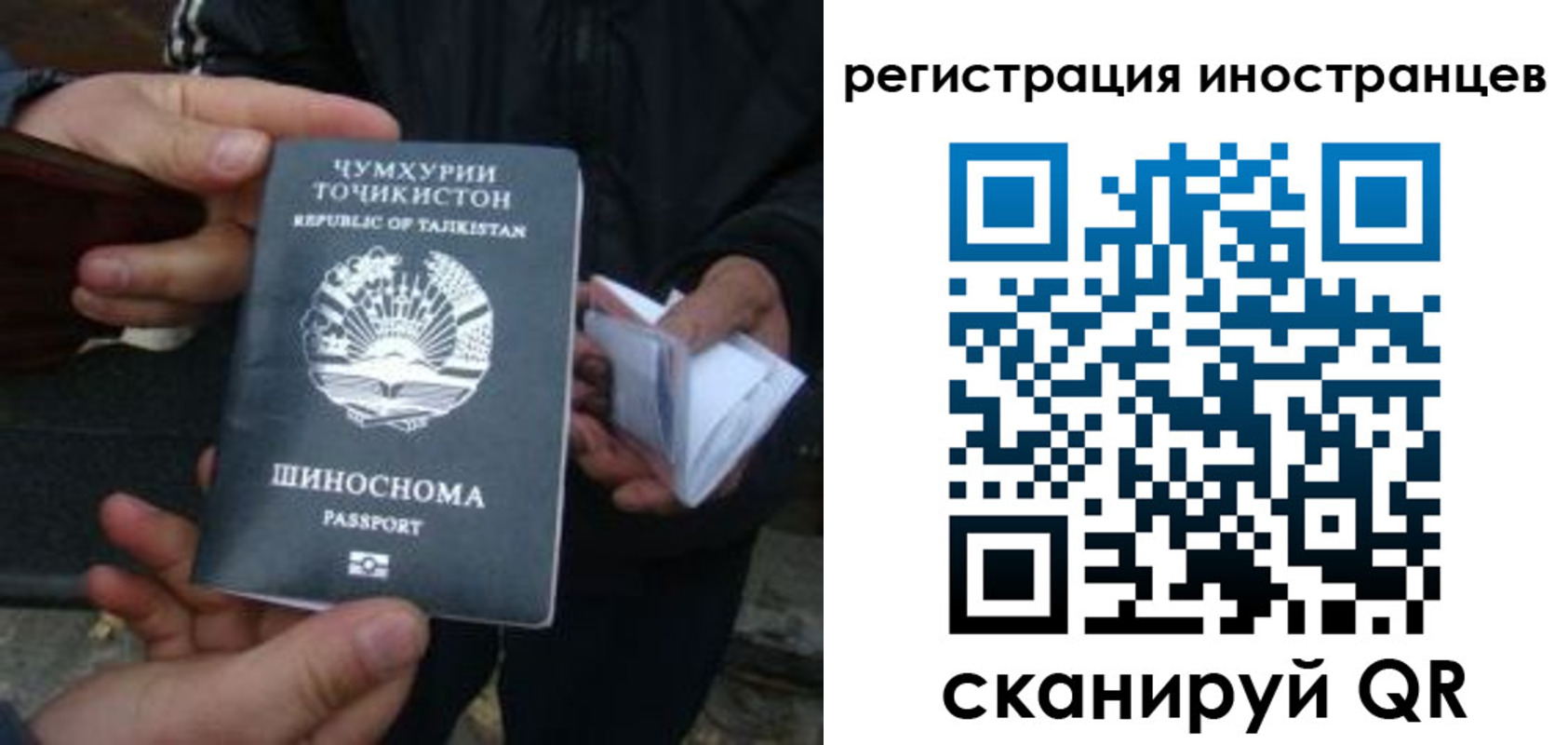 найти адрес прописки в Ярославле